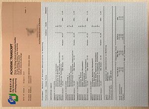 City University of Hong Kong transcript