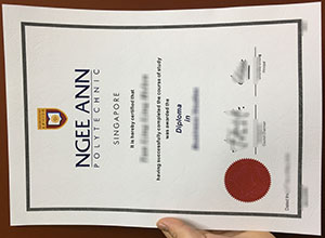 Ngee Ann Polytechnic diploma