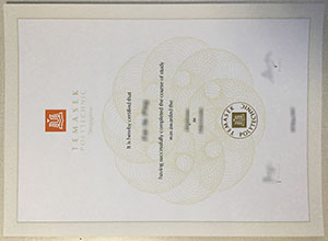 Temasek Polytechnic diploma