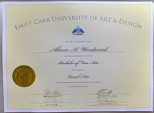 Emily Carr University of Art & Design degree