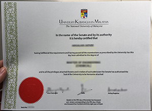 UKM diploma