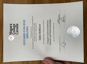 Niagara College Canada diploma