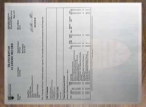 University of British Columbia academic transcript