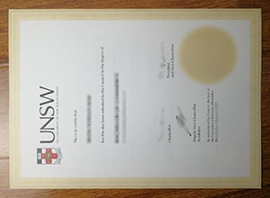 UNSW degree