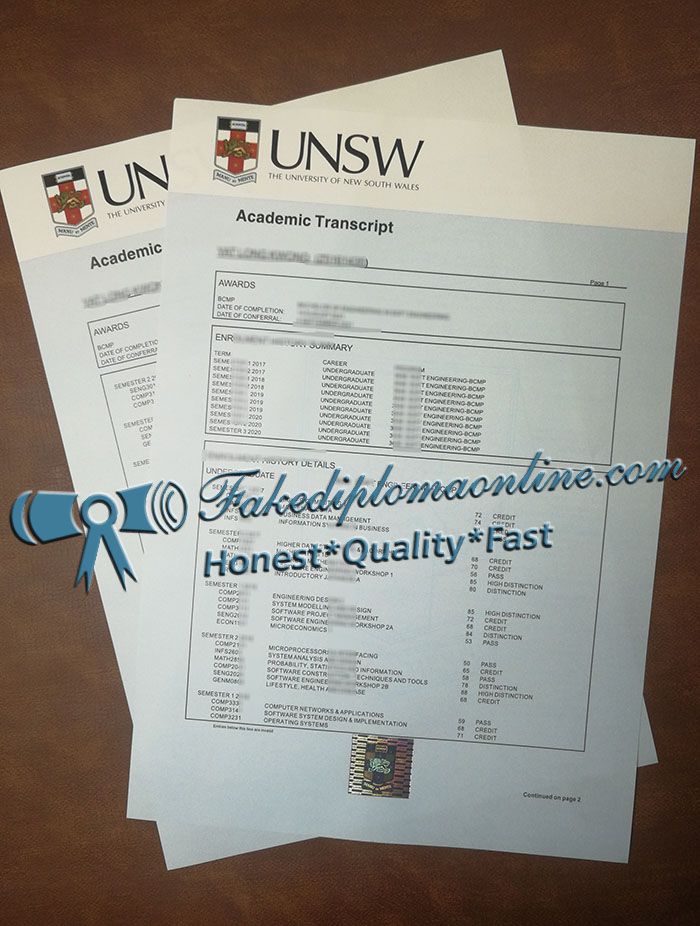 University of New South Wales transcript