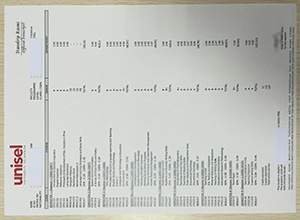 University of Selangor Official transcript