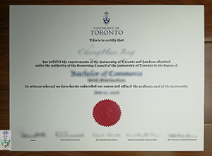 University of Toronto degree