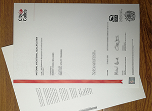 City & Guilds level 5 NVQ diploma