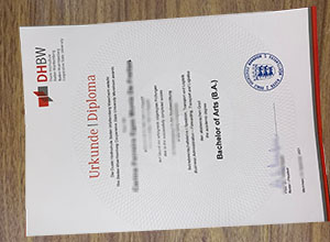 Duale Hochschule Baden-Württemberg diploma