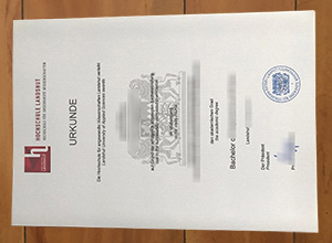 Fachhochschule Landshut diploma
