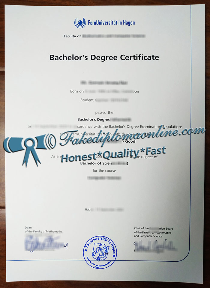 FernUniversität in Hagen degree