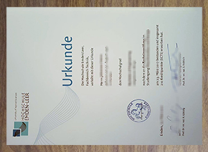 Hochschule Emden/Leer degree