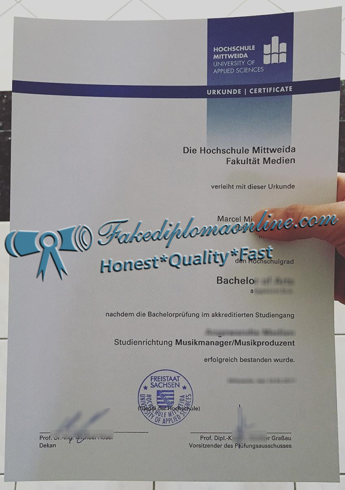 Hochschule Mittweida diploma