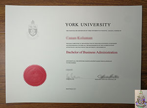 York University degree