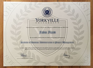 Yorkville University degree