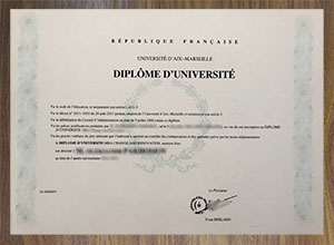 Aix-Marseille Université diploma