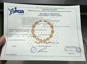 INSA Lyon diploma