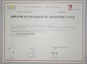 Université Montpellier 1 diploma