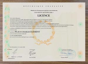 Université Montpellier 3 licence