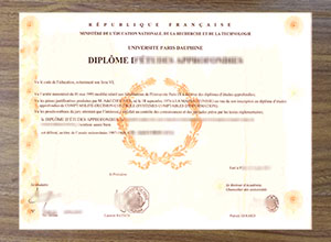Université Paris-Dauphine diploma