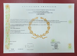 Université Paris Descartes licence