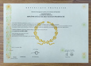 Université Paris VI diploma