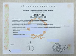 Université Paris VIII licence