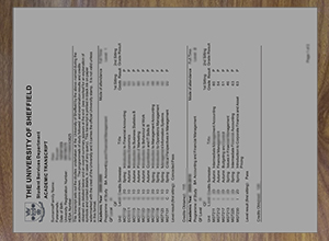 University of Sheffield transcript