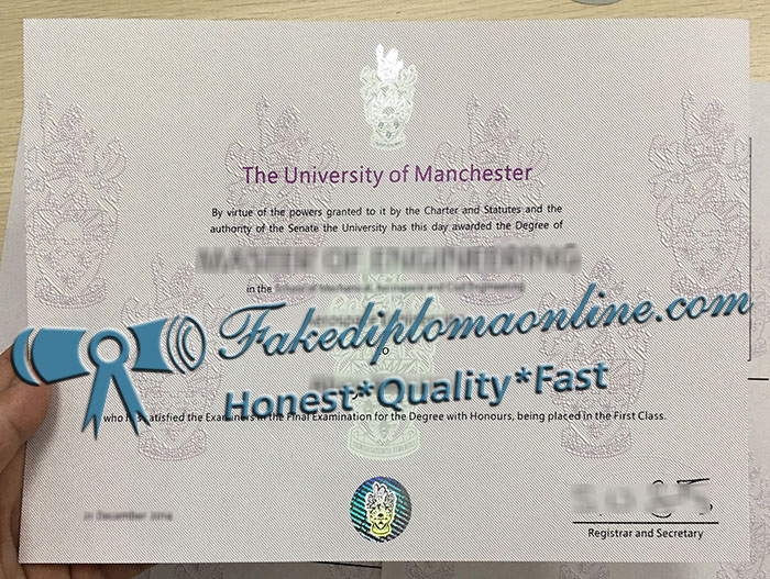 University of Manchester degree