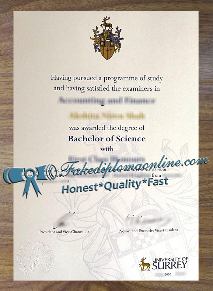 University of Surrey degree