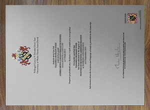University of Wales Trinity Saint David degree