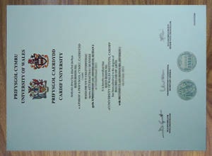 University of Wales Institute,Cardiff diploma