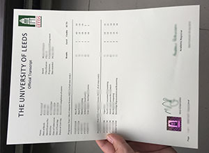 University of leeds transcript