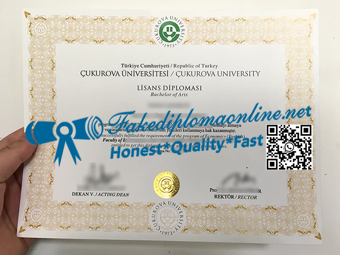 Cukurova University diploma