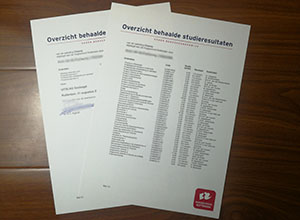 Hogeschool Rotterdam transcript