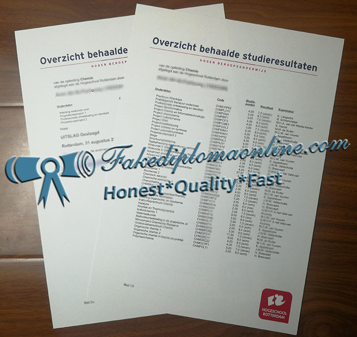 Hogeschool Rotterdam transcript