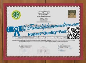 Istanbul University diploma