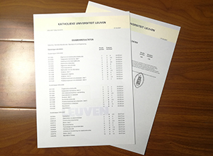 Katholieke Universiteit Leuven transcript