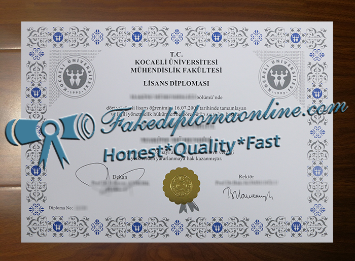 T.C. Kocaeli Üniversitesi degree