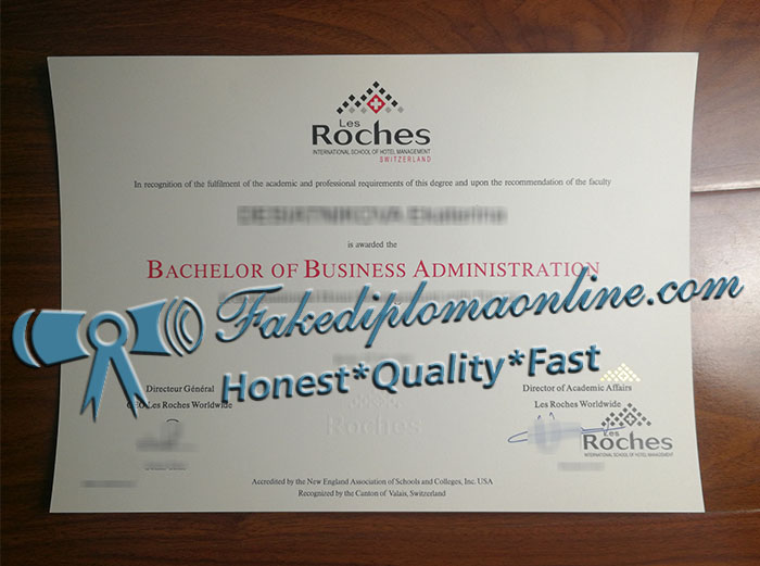 Les-Roches-diploma