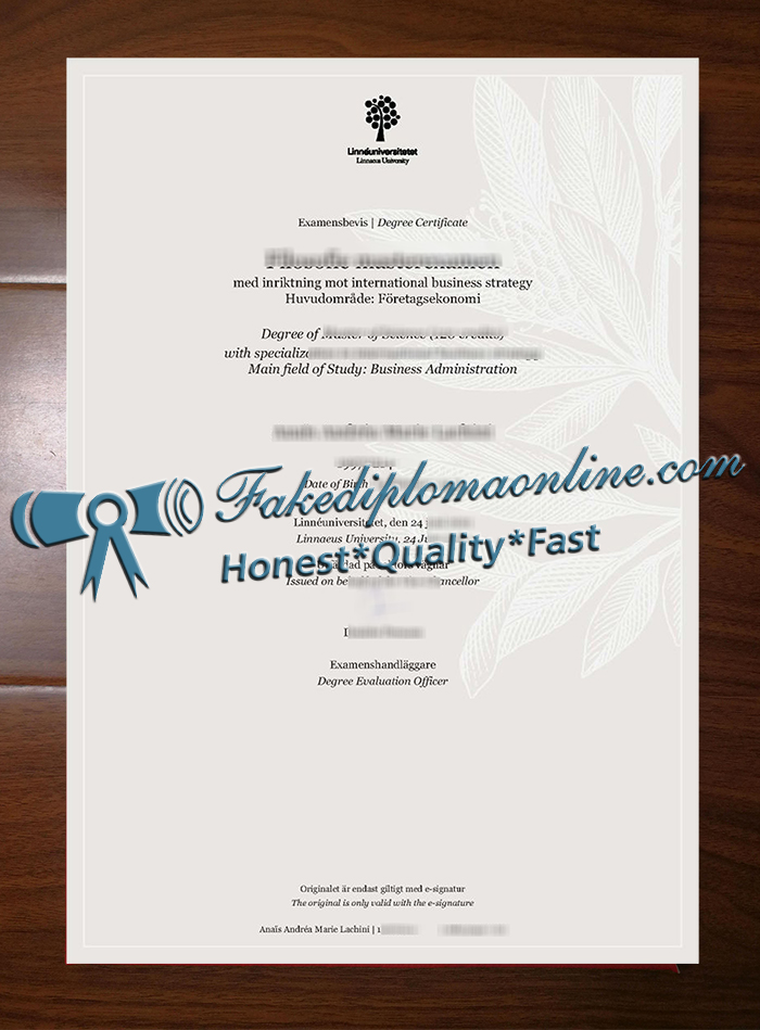 Linneuniversitetet-degree