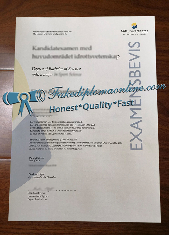 Mittuniversitetet-degree