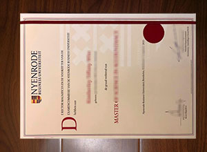 Nyenrode Business Universiteit diploma
