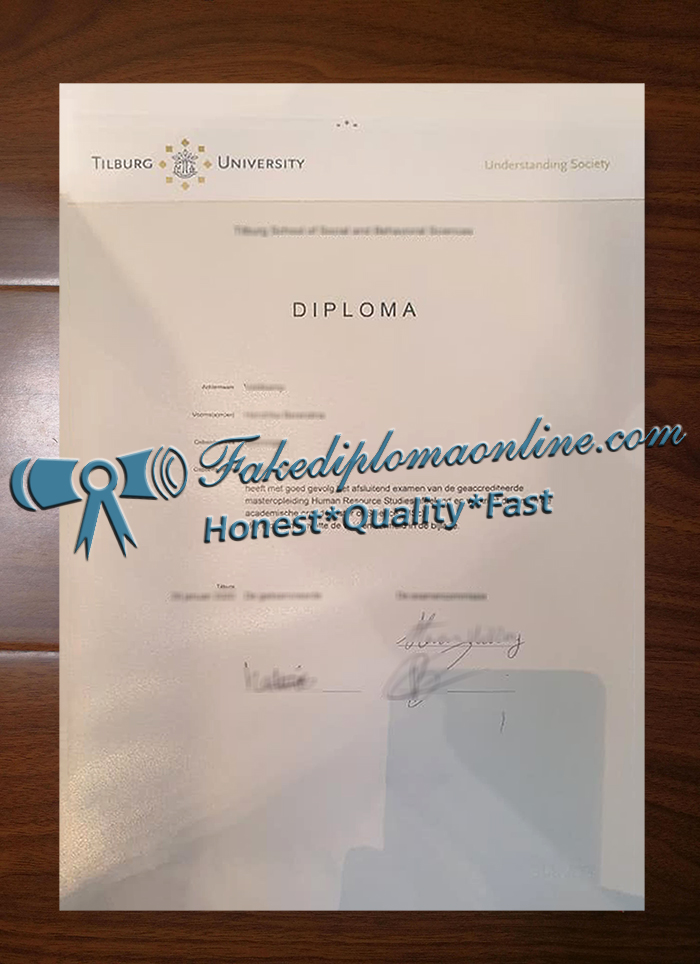 Tilburg University degree