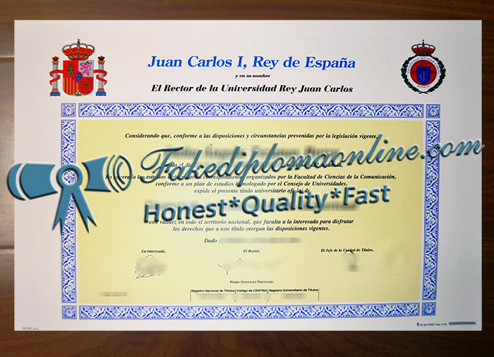 Universidad Rey Juan Carlos  degree