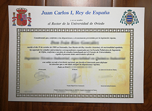 Universidad de Oviedo degree