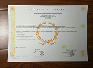 Université Lumière Lyon 2 diploma