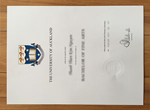 University of Auckland diploma