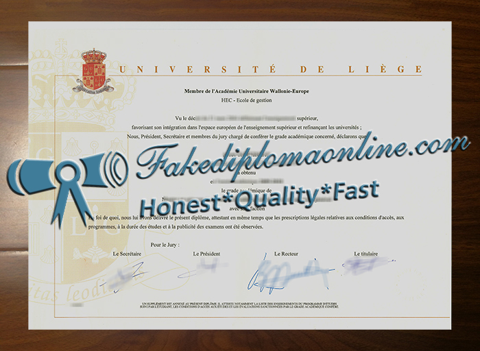 University of Liège degree