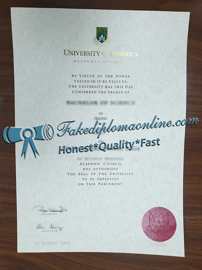University of Limerick diploma
